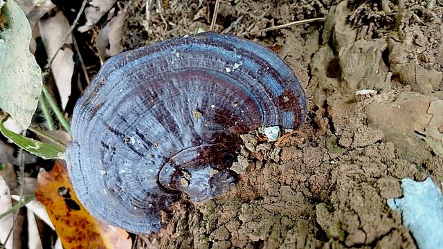 IMG_20250705_095903.jpg