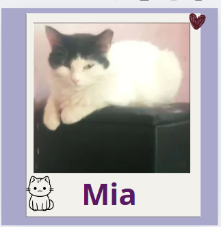 m1.PNG