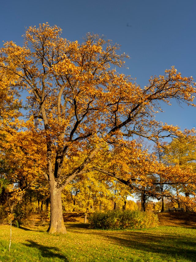DSC04675-Панорама.jpg