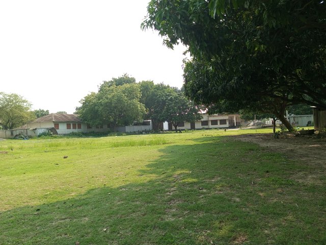 IMG_20250426_153715_901.jpg