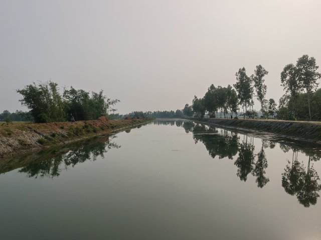 1000047080.jpg