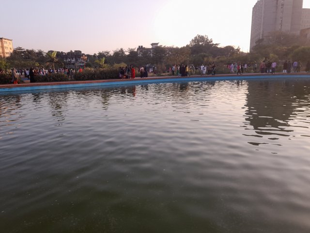 1000110515.jpg