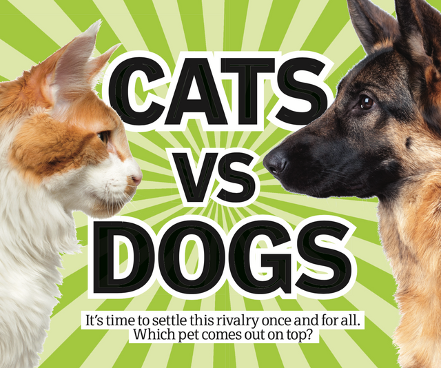 Cats Vs dogs.png