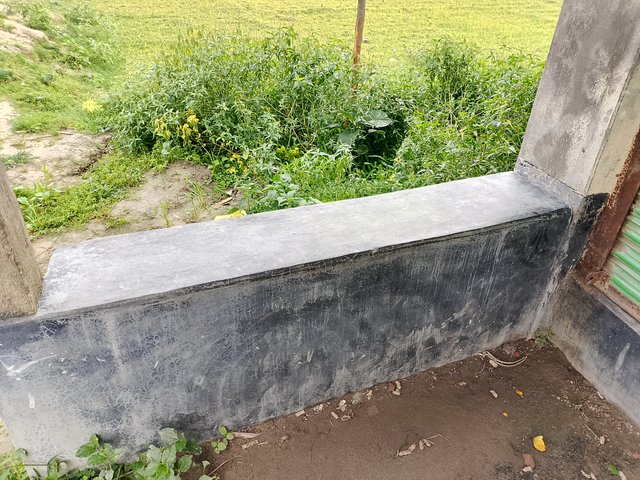 1000042692.jpg