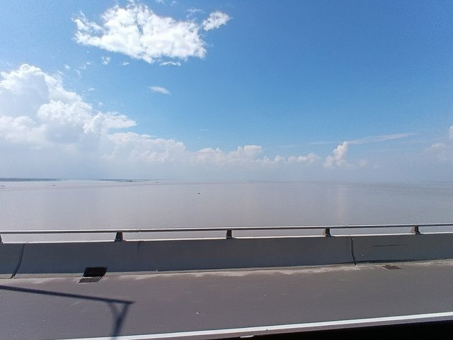 4797.jpg