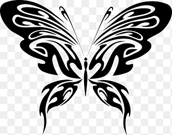 png-clipart-butterfly-drawing-line-art-butterfly-cdr-brush-footed-butterfly-thumbnail.png