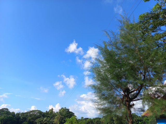 20231001_154349.jpg