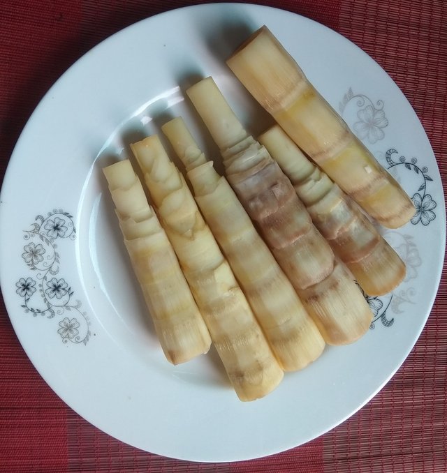 r14.jpg