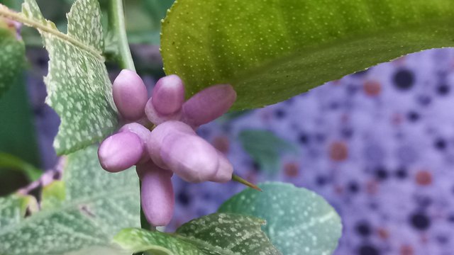 20250603_182018.jpg