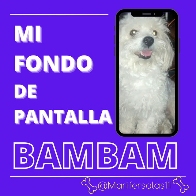 Bambam (2).png