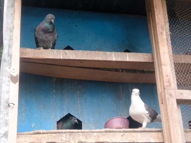 IMG20250320163150.jpg