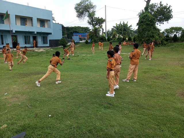 IMG_20250615_095124_154.jpg