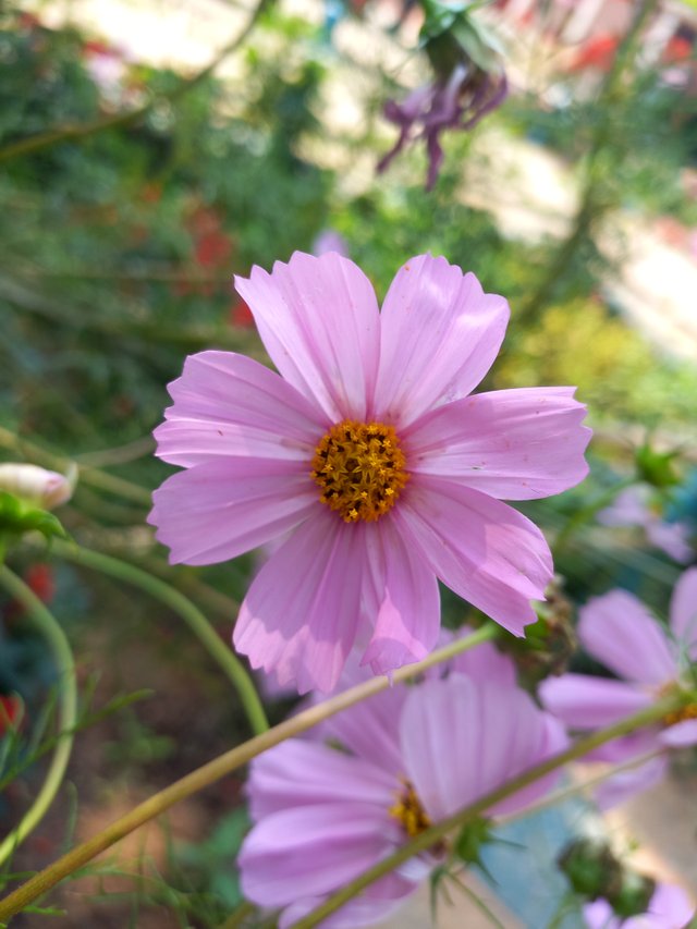 20230306_113615 (1).jpg