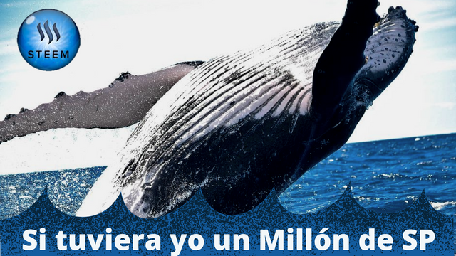 ballena.png