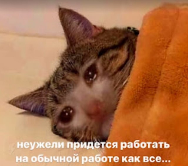 Screenshot_738.jpg