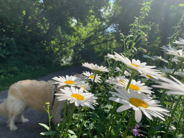 image2.jpeg