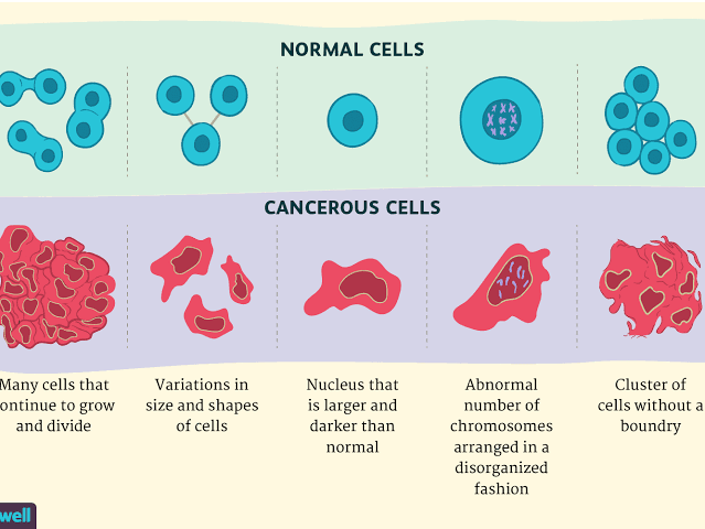 Normal Cells Vs Cancer Cells.png