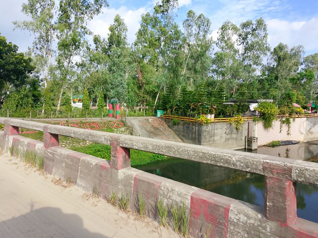 1000044617.jpg