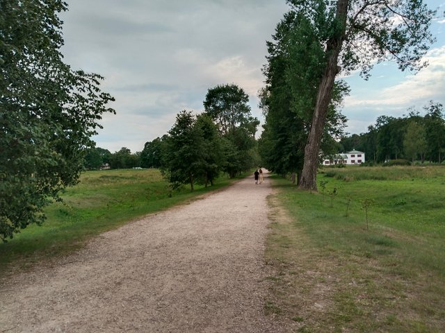 IMG_20250706_170644.jpg