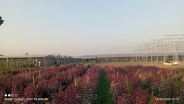 IMG_20250830_215805.jpg