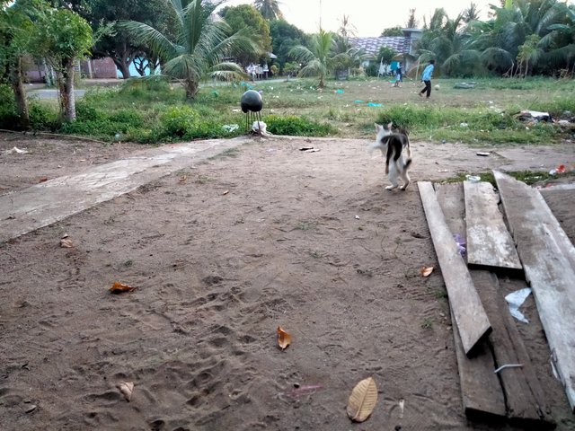 IMG20250831181930.jpg