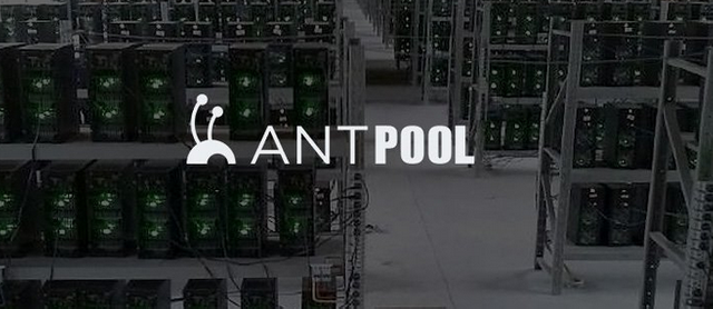 AntPool.png