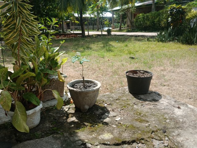 IMG20241228133908.jpg