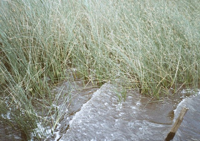 premium_photo-1755925218470-00a57753c3f5.jpeg