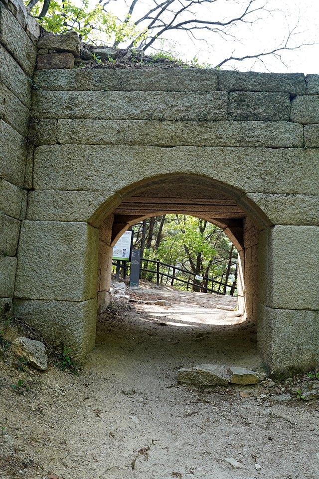 DSC08119.JPG
