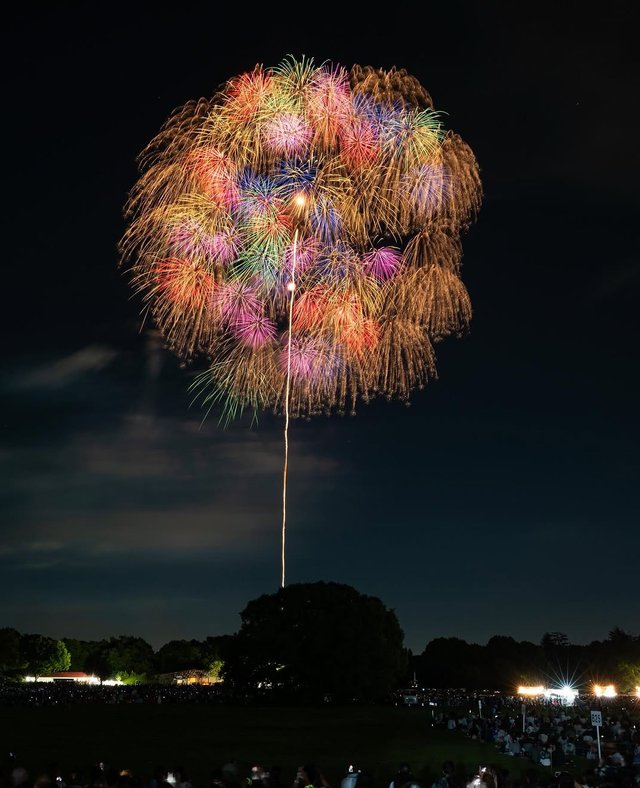 IMG_20250727_174701.jpg