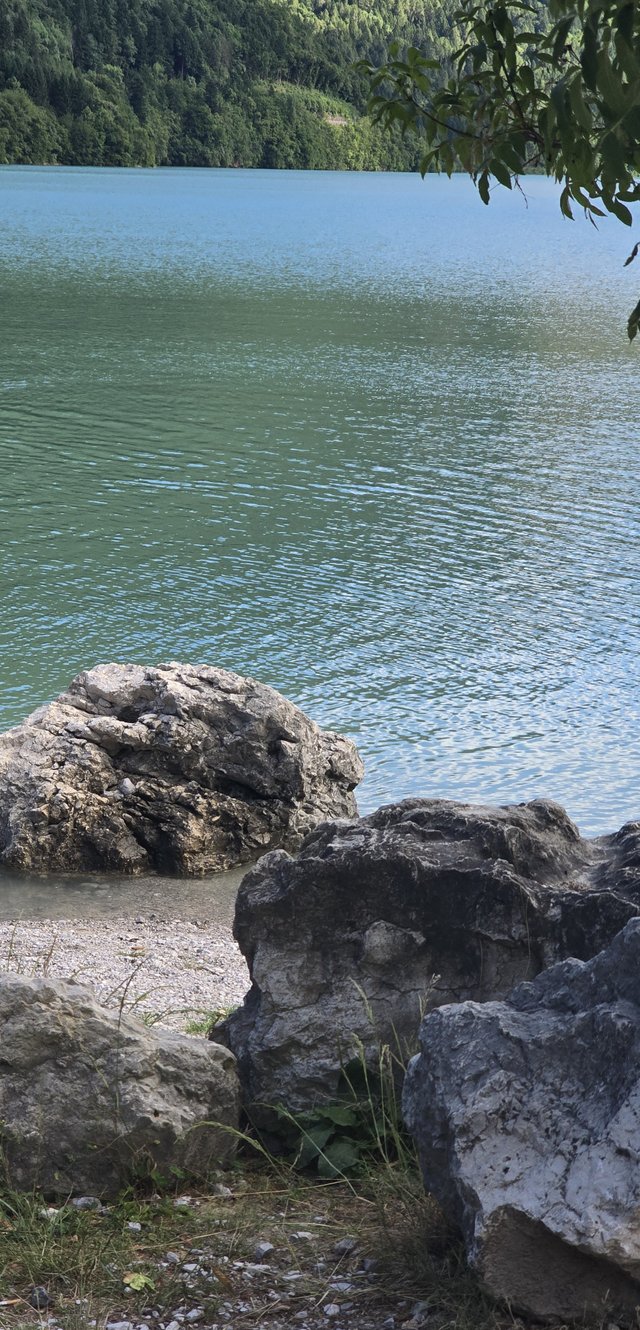 20250709_171848.jpg