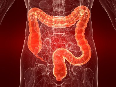 colon-health.jpg