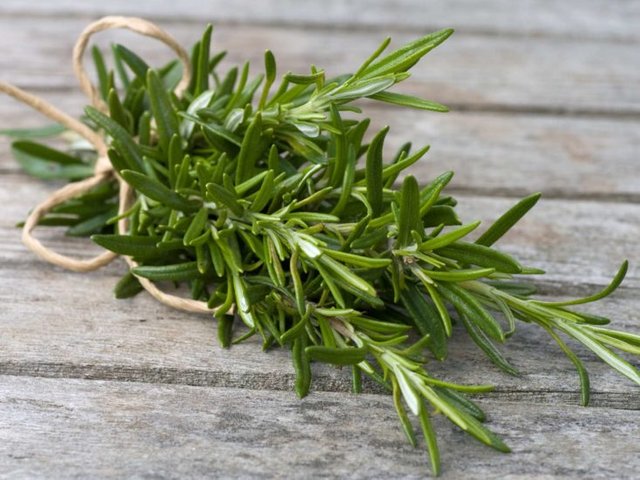 rosemary.jpg