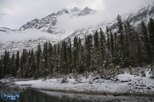 mount robson7.jpg