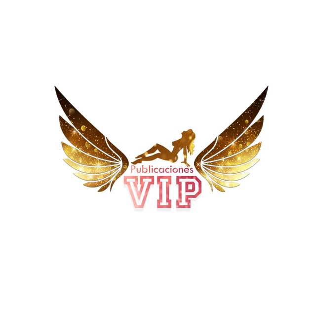 publicaciones vip logo.jpg