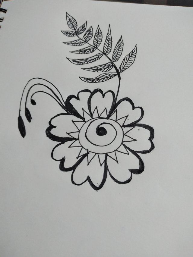 20250724_122422.jpg