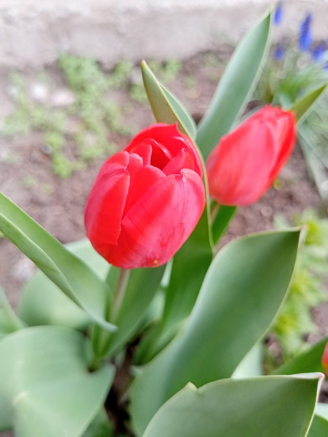 IMG_20250412_132302_439.jpg