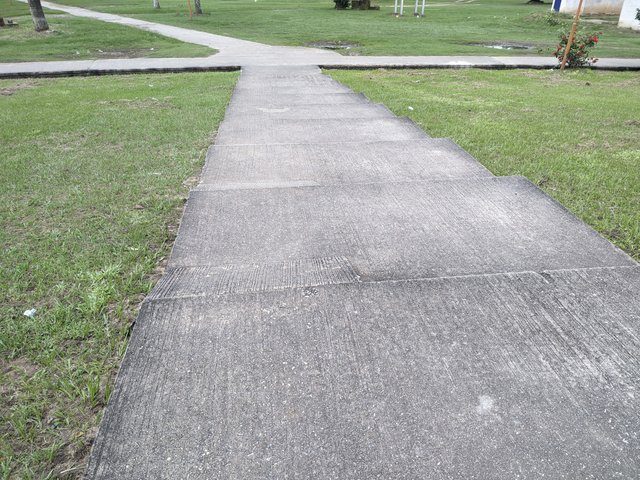 1001102914.jpg
