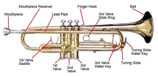 Trumpet Parts.jpg