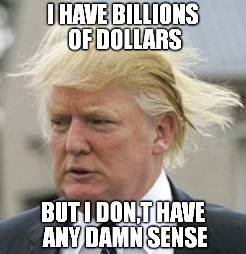 i-have-billion-dollars-but-i-dont-have-sense-donald-trump-hilarious-memes-trump-hairs-funny-memes.jpg