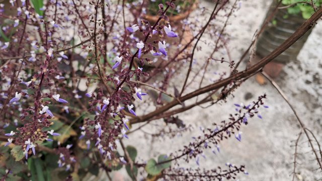 20240319_124037.jpg