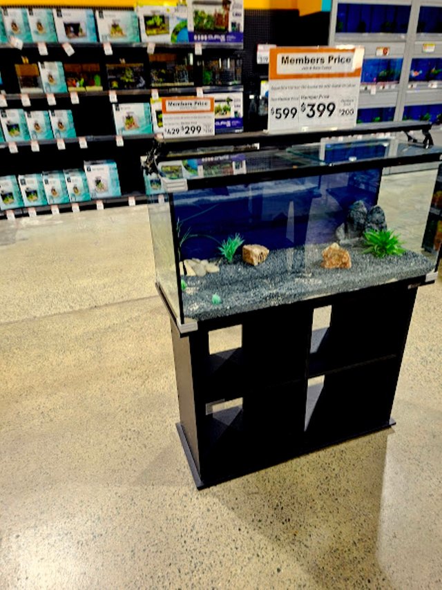 20250726_162910.jpg