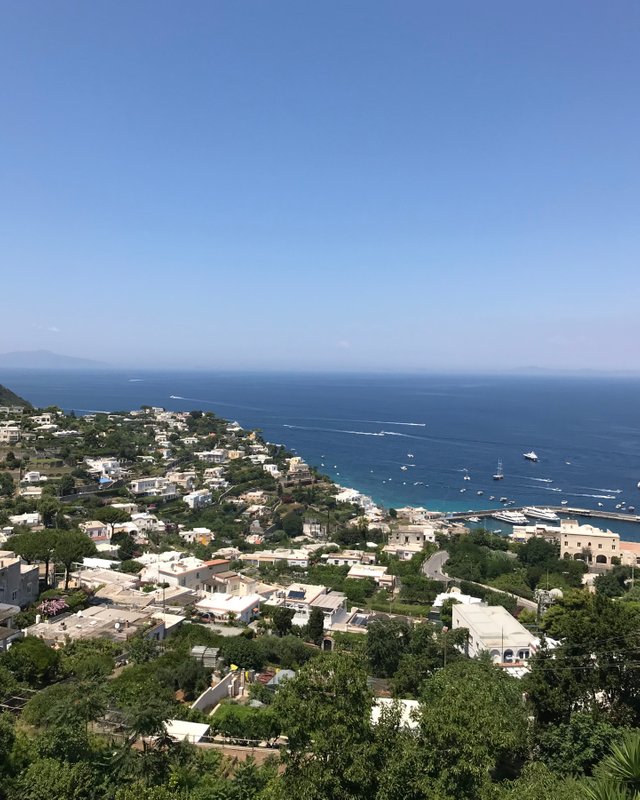 IMG_3918.jpeg