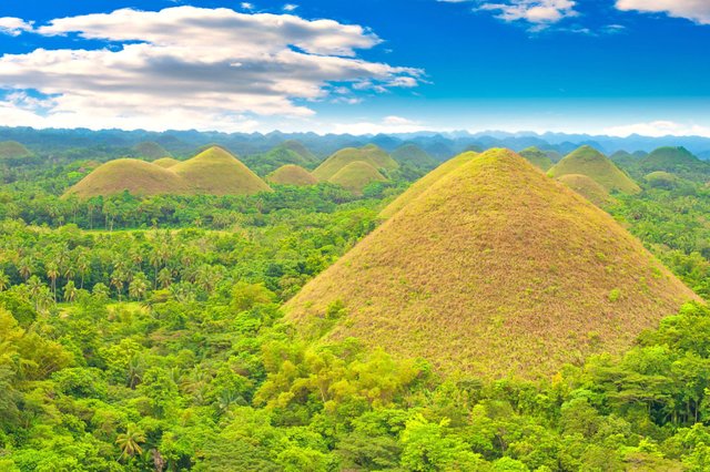 bohol 1.jpg