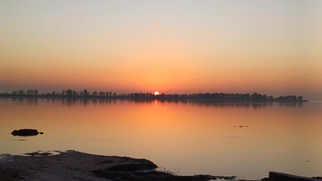 20250422_055052.jpg