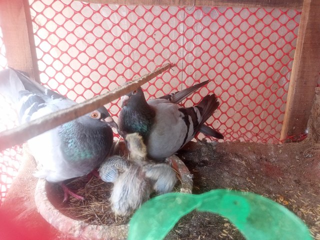 IMG20250613120828.jpg
