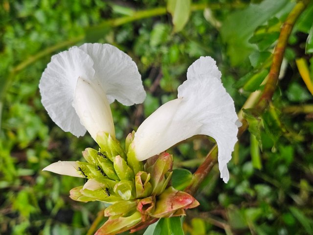 20250914_065025.jpg