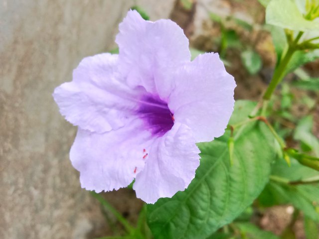 IMG_20250914_074616.jpg