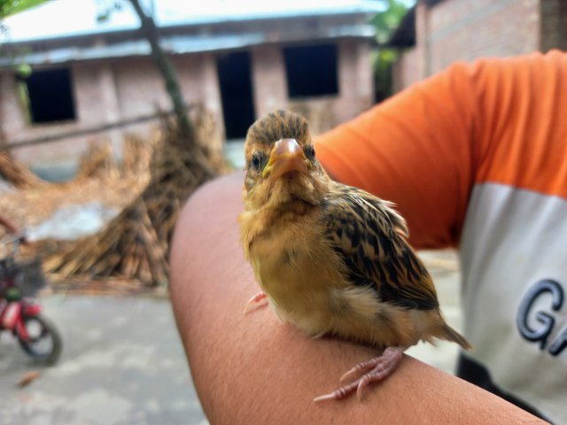 20250711_102537~2.jp