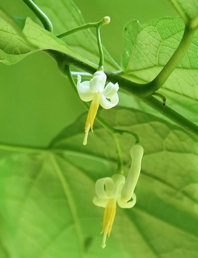 IMG_20250620_082532.jpg